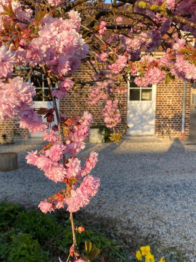 Le Domaine Des Saules Villa Richebourg  Eksteriør bilde